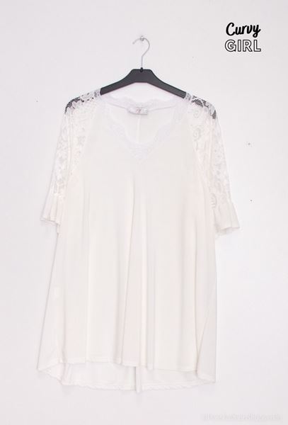 Picture of PLUS SIZE V NECK WITH LACE SLEEVE